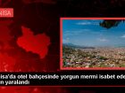 Manisa'da apart otel bah�esinde kad�n yorgun mermiyle yaraland�