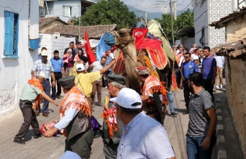 Manisa'da Geleneksel Babozumu enlii'nde Deve zerinde Yry Yapan Kadn Yere Dt