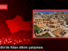 Mardin'de a�a�land�rma seferberli�i ba�lat�ld�