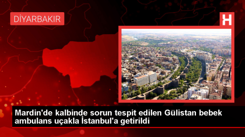 Mardin'de kalbinde sorun tespit edilen 3 gnlk bebek stanbul'a getirildi