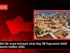 Mardin'de suya kar��an zirai ila� 85 hayvan�n telef olmas�na neden oldu