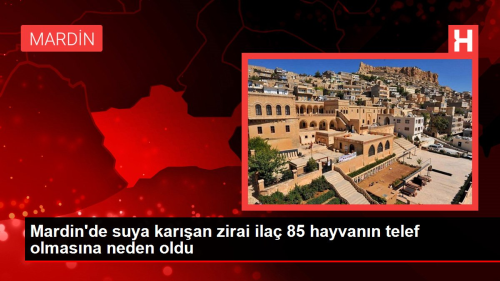 Mardin'de suya karan zirai ila 85 hayvann telef olmasna neden oldu