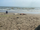 Mersin'de Denize Giren K�z Karde�ler Bo�uldu, Ablalar� Hastaneye Kald�r�ld�
