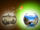 Mert �uhadaro�lu: 
