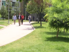 Mesire Yerleri in Kene Uyars