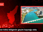 Meyan k�k� b�lgenin ge�im kayna�� oldu... G�nde 2 ton topluyorlar