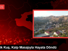 Minik Ku�, Kalp Masaj�yla Hayata D�nd�