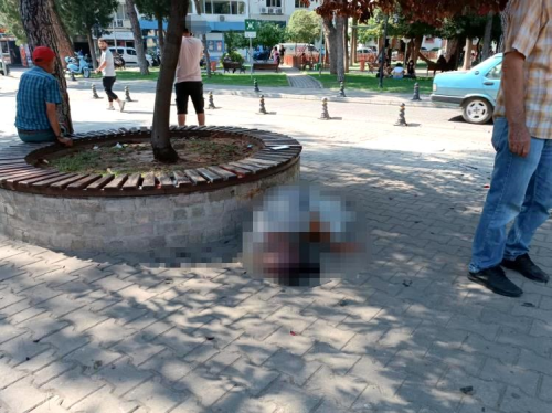 Mula'da Bankta Oturan ahs Fenalaarak Hayatn Kaybetti