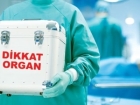 Mu�la'da Organ Ba����