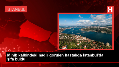 Mula'dan ambulans uakla stanbul'daki hastaneye sevk edilen bebek, nadir grlen kalp rahatszln yendi