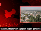 Mu�'ta armut toplarken a�a�tan d��en �ah�s yaraland�