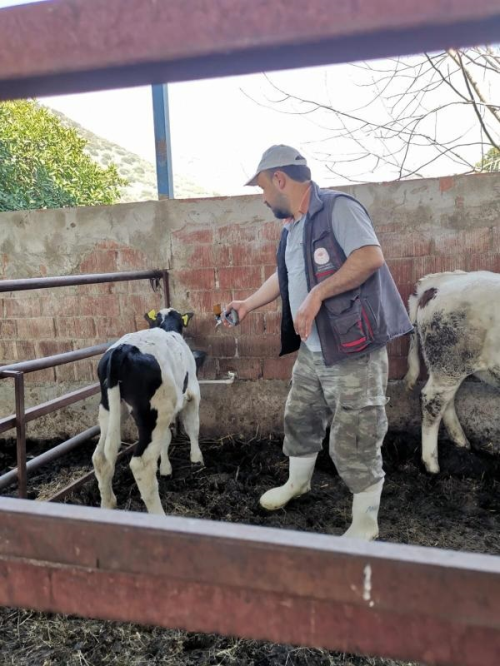 Nazilli ve Kuyucak'ta ap Hastal Nedeniyle Karantina