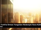 New York'ta Orman Yang�nlar� Nedeniyle Hava Kalitesi Uyar�s�