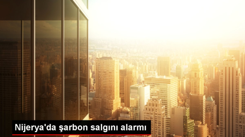 Nijerya'da arbon Salgn Alarm