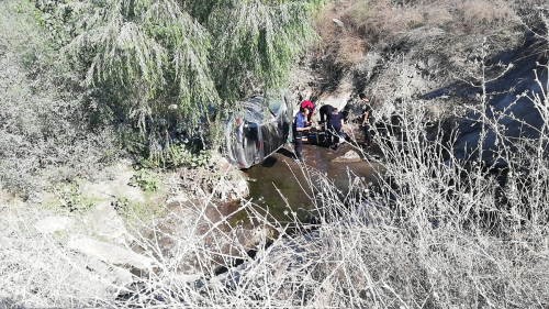 Niksar'da devrilen otomobilin srcs yaraland