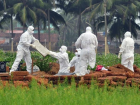 Nipah vir�s� nedir? Nipah vir�s� nerede?