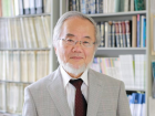 Nobel Tıp Ödülü, Japon Hücre Biyoloğu Yoshinori Ohsumi'ye Verildi