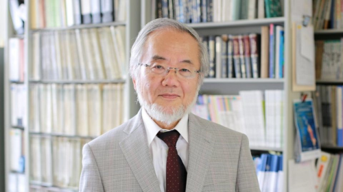 Nobel Tp dl, Japon Hcre Biyolou Yoshinori Ohsumi'ye Verildi