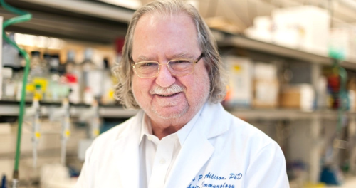 Nobel Tp dl'ne Layk Grlen James P. Allison Kimdir?