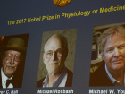 Nobel T�p �d�l�'n� Kazananlar Belli Oldu