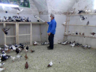 �mr�n� ku�lara adad�
