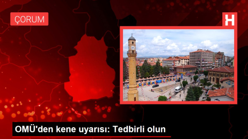 OM'den kene uyars: Tedbirli olun