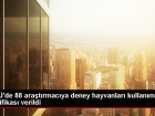 OM� Deney Hayvanlar� Merkezi, T�rkiye'deki ara�t�rmac�lara e�itim verdi