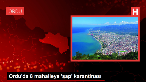 Ordu'da 8 mahalle ap hastal nedeniyle karantinaya alnd