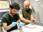 Ordu'da bulunan 2 sincap yavrusu koruma alt�na al�nd�