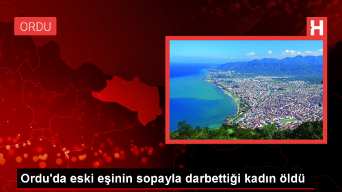 Ordu'da eski einin sopayla darbettii kadn hayatn kaybetti