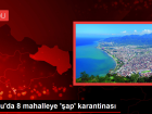 Ordu'nun Akku� il�esinde 8 mahalle �ap hastal��� nedeniyle karantinaya al�nd�