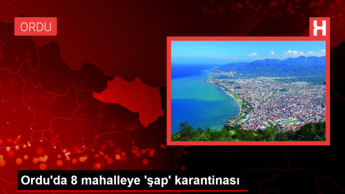 Ordu'nun Akku ilesinde 8 mahalle ap hastal nedeniyle karantinaya alnd