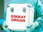 Organ Nakli ��in Y�llarca S�ra Bekleme Derdi Bitti