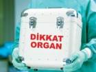 Organ Nakliyle Ya�ama Tutundular