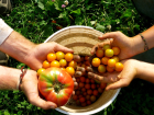 Organik Tar�ma Dair Merak Edilenler Bu Kitapta!