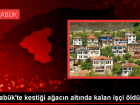 Ormanda a�a� kesimi s�ras�nda i��i hayat�n� kaybetti