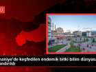Osmaniye'de keşfedilen endemik bitki bilim dünyasına kazandırıldı