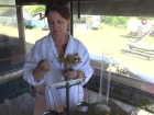 Osmanl�'n�n sava��rken yan�nda ta��d��� iksir: 