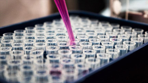 strojen hormonu nedir, grevleri nelerdir? strojen fazlal ve dkl nelere sebep olur?