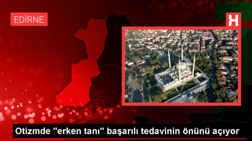 Otizmde 