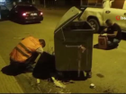 Otomobilin �arpt��� yaral� sokak kedisi tedavi alt�na al�nd�