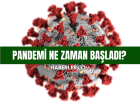 Pandemi ne zaman ba�lad�? Pandemi hangi y�l, hangi tarihte ba�lad�?