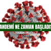 Pandemi ne zaman balad? Pandemi hangi yl, hangi tarihte balad?