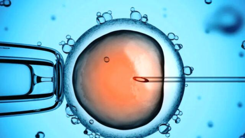 Parkinson Hastal in Embriyonik Kk Hcre Tedavisi Umut Veriyor