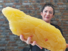 Po�a�a yiyenler dikkat: Tehlike g�zler �n�ne serildi