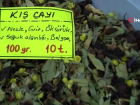 Prof. Dr. Fatih Sat�l'dan k�� �aylar� yorumu: 