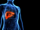 Prof. Dr. Onur Yaprak: Kpek kisti organ nakline kadar gtrebilir