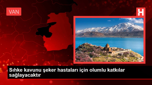 Prof. Dr. Suat ensoy: 'Shke kavunu eker hastalar iin olumlu katklar salayacaktr'