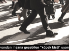 Prof. Dr. T�rkmen Turan �ift�i: Kistli sakatatlar kedi ve k�peklere yedirilmemeli