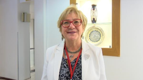 Prof. Dr. Ulu: Pandemi, alkol bamlln arttrd